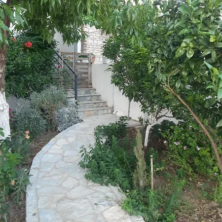 Mane * Saranda