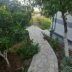 Mane Sarandë