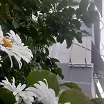公寓 Mane *