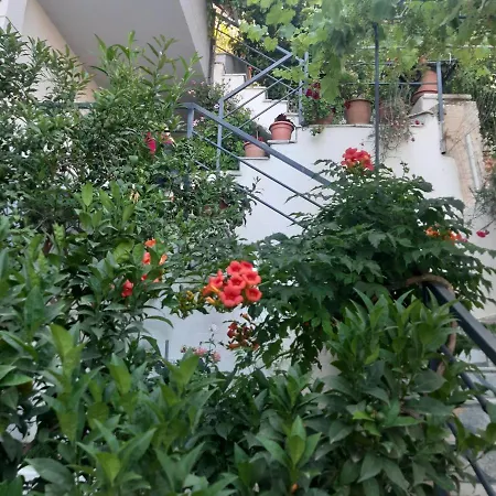 Mane Apartment Sarande