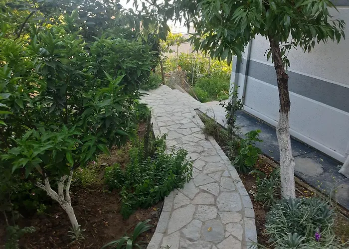 Mane Sarandë